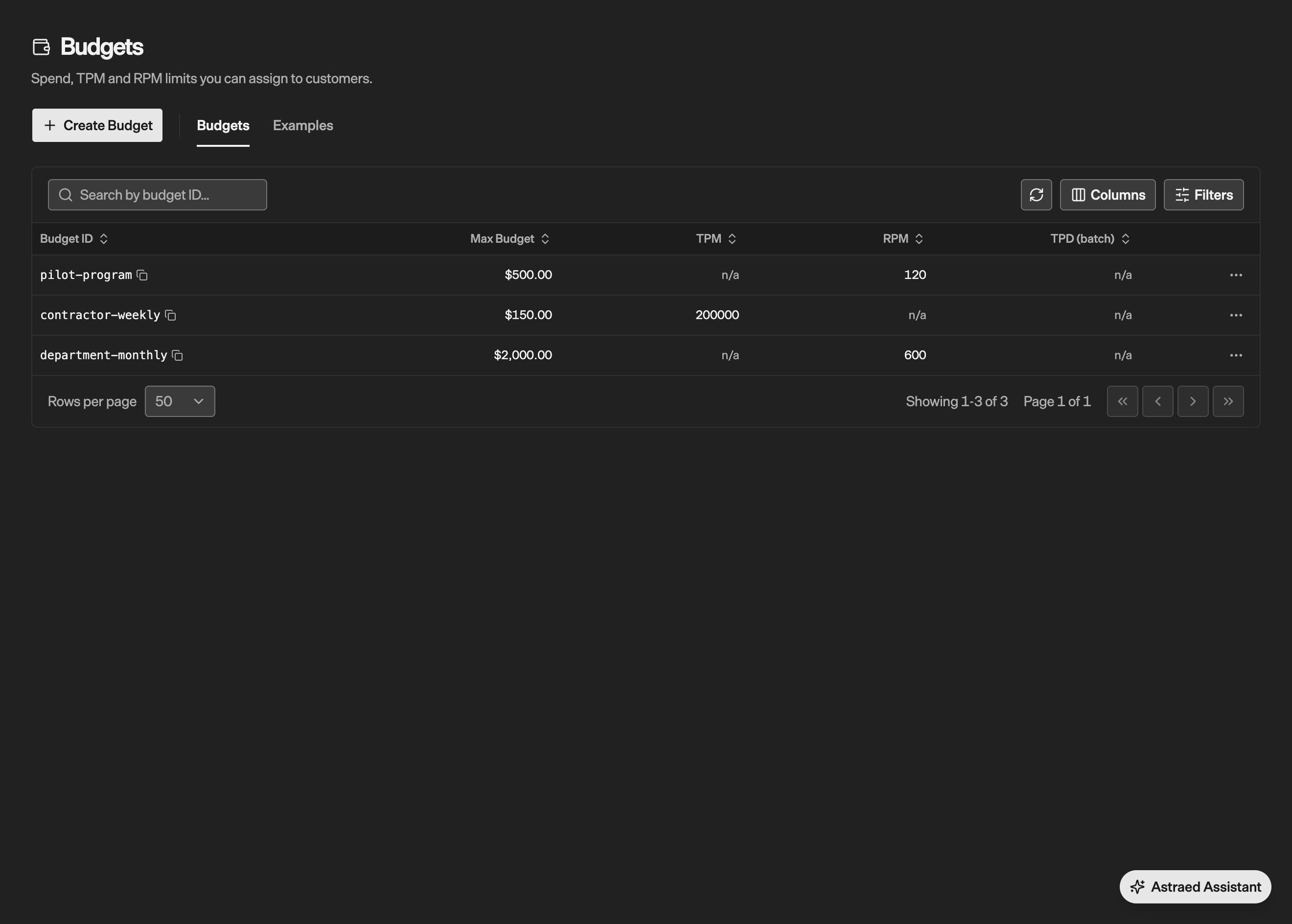Budget settings with maximum spend of $500 for the pilot, $150 for contractors, and $2,000 for a department, alongside usage-rate limits