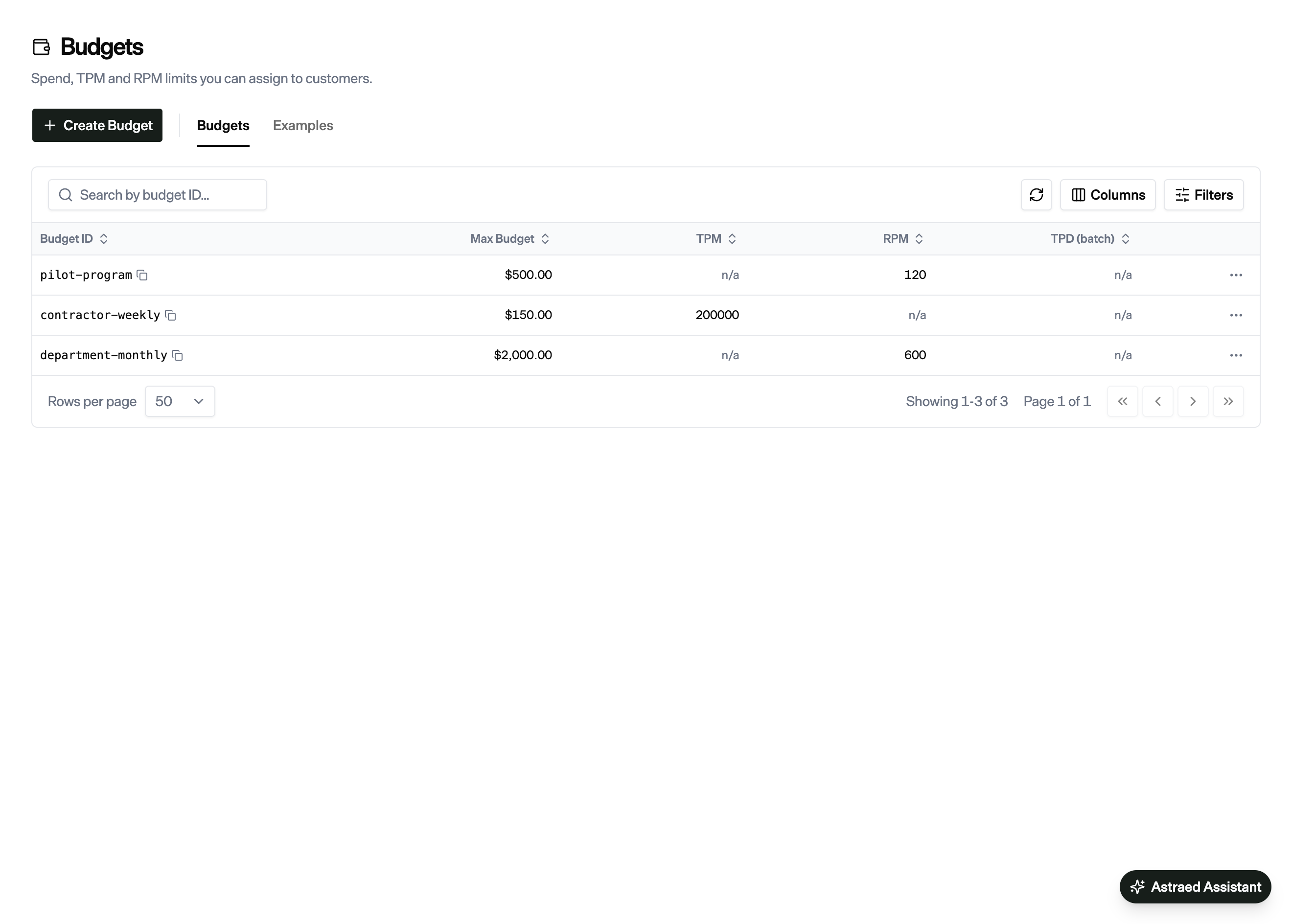 Budget settings with maximum spend of $500 for the pilot, $150 for contractors, and $2,000 for a department, alongside usage-rate limits